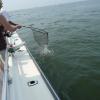 Fish on again