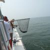 Our first Striper