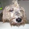 bath time