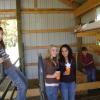 kiddies with the chickens