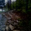 new shore