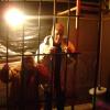 Celebrity Jail b