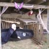 Dracula b