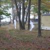 Strobe Ghosts