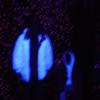 poka dot room blacklight