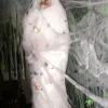 spider victim b