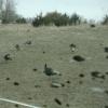 DSC03464